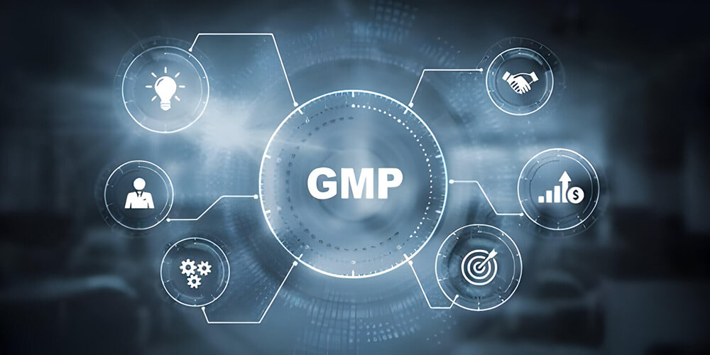Cấp độ GMP Peace