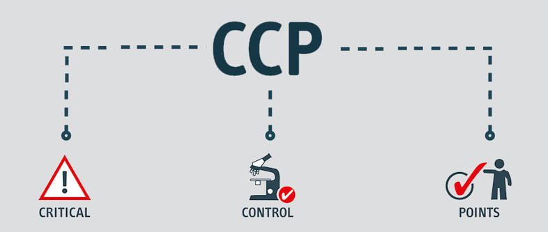 CCP là gì