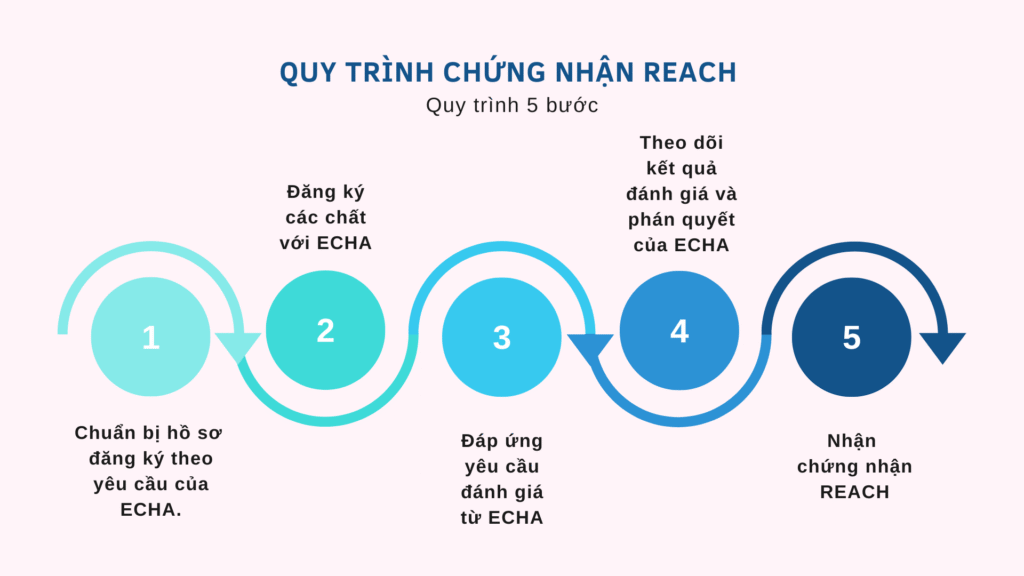 Quy trình chứng nhận REACH gồm các bước