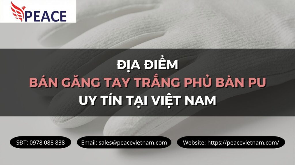 ĐỊA ĐIỂM BÁN GĂNG TAY TRẮNG PHỦ BÀN PU UY TÍN TẠI VIỆT NAM